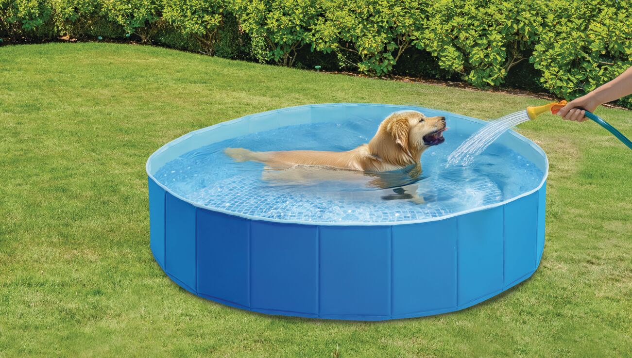 Intex Πισίνα-Pet Pool 1.52m x 30m (48400NP) (5)