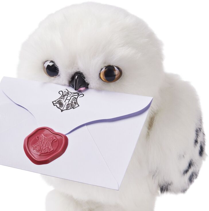 Wizarding World Harry Potter Μαγική Χέντβιχ (6061829) (3)