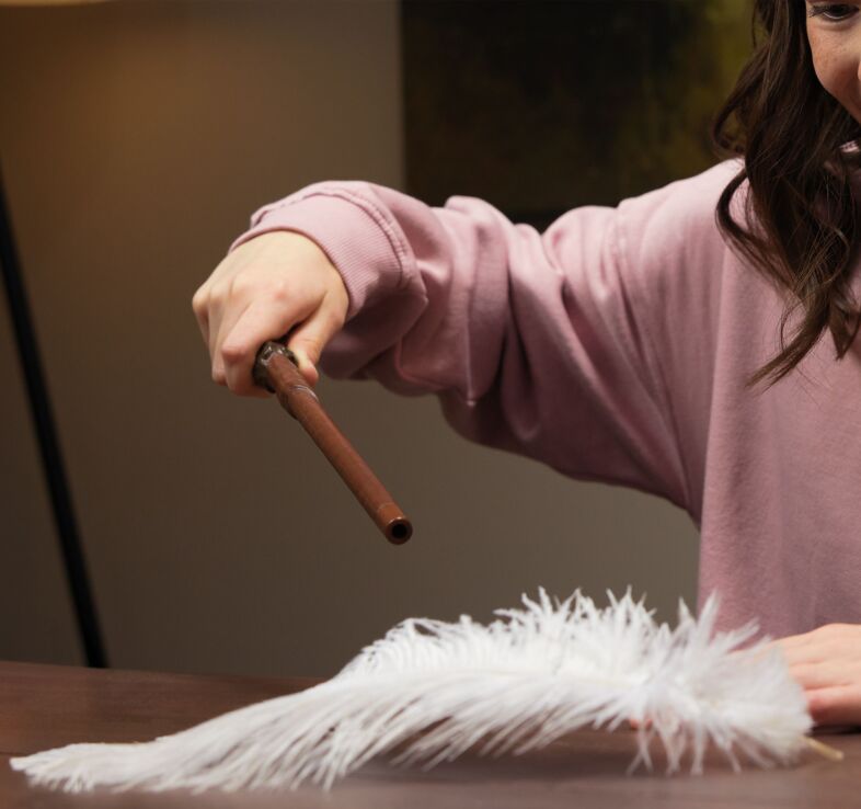 WW Harry Potter Ραβδί Με Ξόρκια & Ήχους (6071774) (3)