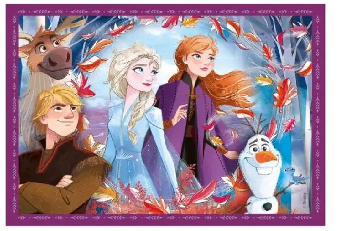 Παζλ 4 In 1 Frozen 2 (1200-21518) (4)