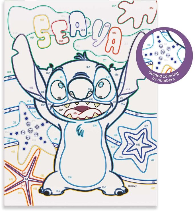 Paint & Frame Stitch (1038-41035) (2)