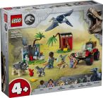 Dinosaur Collection
